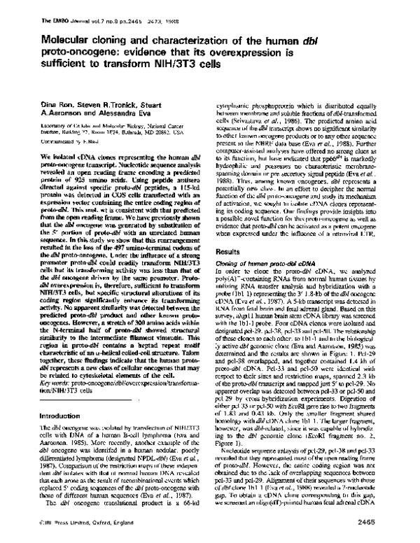 (PDF) Molecular cloning and characterization of the human dbl proto ...
