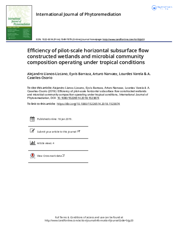 (PDF) Efficiency of pilot-scale horizontal subsurface flow constructed ...