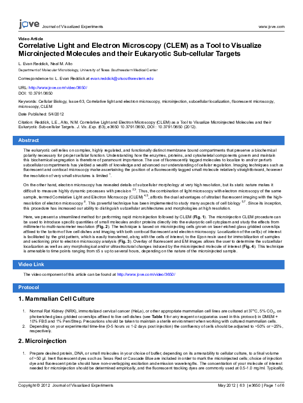 (PDF) Correlative Light and Electron Microscopy (CLEM) as a Tool to ...