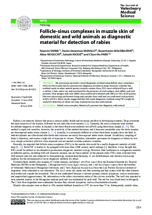 (PDF) Follicle-sinus complexes in muzzle skin of domestic and wild ...