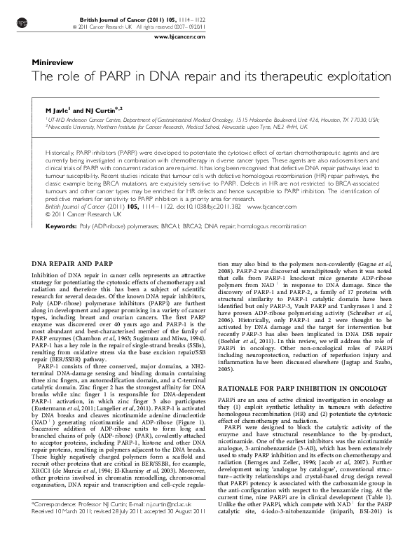 (PDF) The role of PARP in DNA repair and its therapeutic exploitation