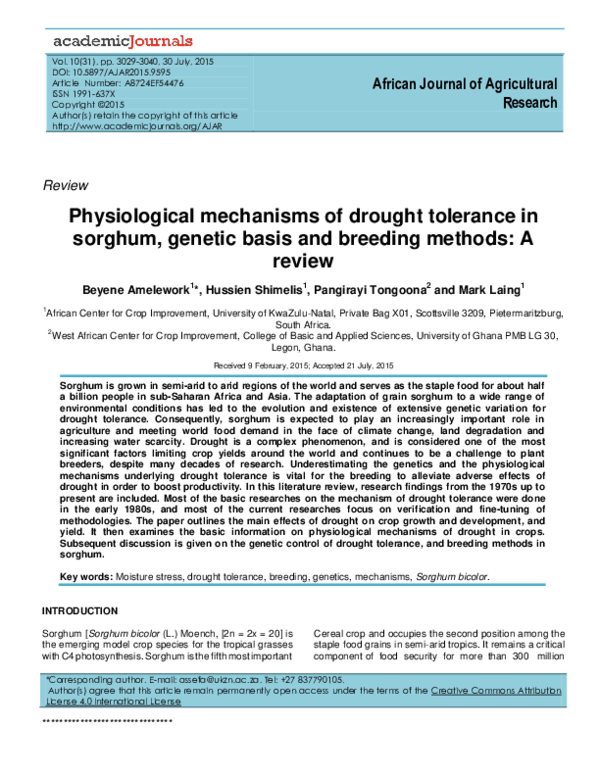 (PDF) Physiological mechanisms of drought tolerance in sorghum, genetic ...