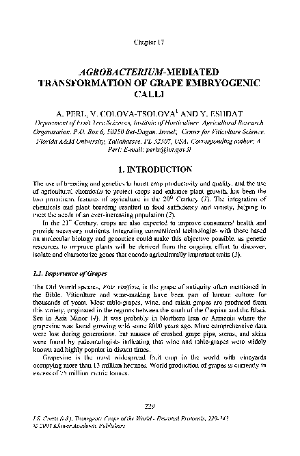 (PDF) Agrobacterium-Mediated Transformation of Grape Embryogenic Calli