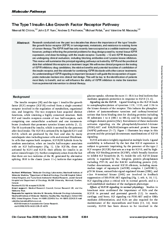 (PDF) The Type 1 Insulin-Like Growth Factor Receptor Pathway | M Pollak ...