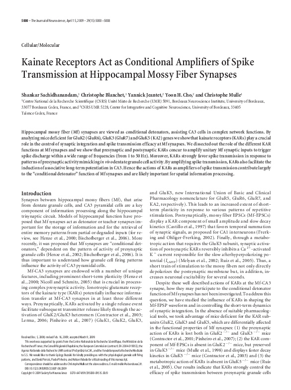 (PDF) Kainate Receptors Act as Conditional Amplifiers of Spike ...