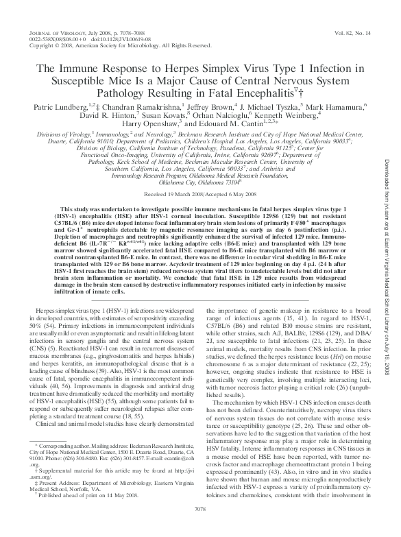 (PDF) The Immune Response to Herpes Simplex Virus Type 1 Infection in ...