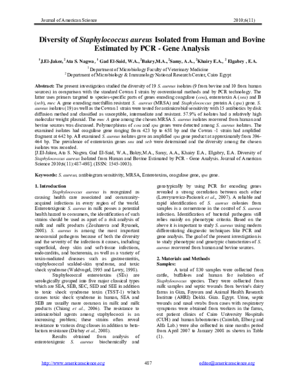 (PDF) Diversity of Staphylococcus aureus Isolated from Human and Bovine ...
