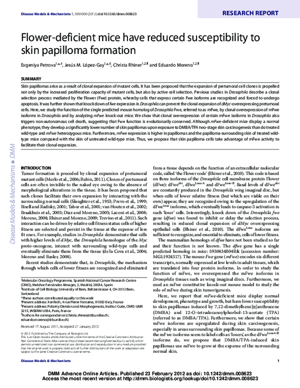 (PDF) Petrova et al 2012 DMM Eduardo Moreno Lampaya Academia.edu