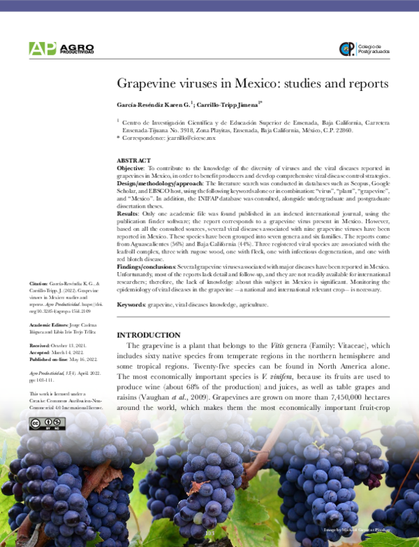 (PDF) Grapevine viruses in Mexico: studies and reports