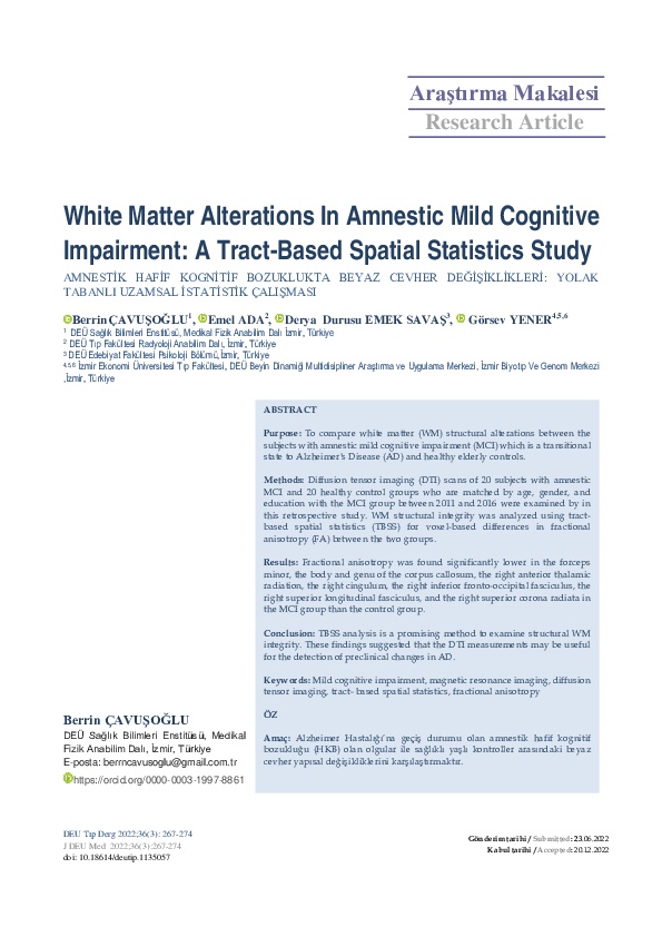 (PDF) White matter alterations in amnestic mild cognitive impairment: a ...