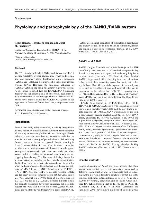 (PDF) Physiology and pathophysiology of the RANKL/RANK system