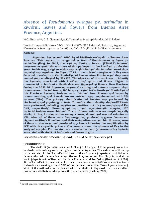 (PDF) Absence of Pseudomonas syringae pv. actinidiae in kiwifruit ...