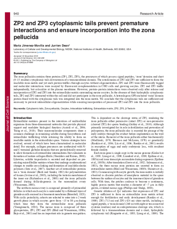 (PDF) ZP2 and ZP3 cytoplasmic tails prevent premature interactions and ...