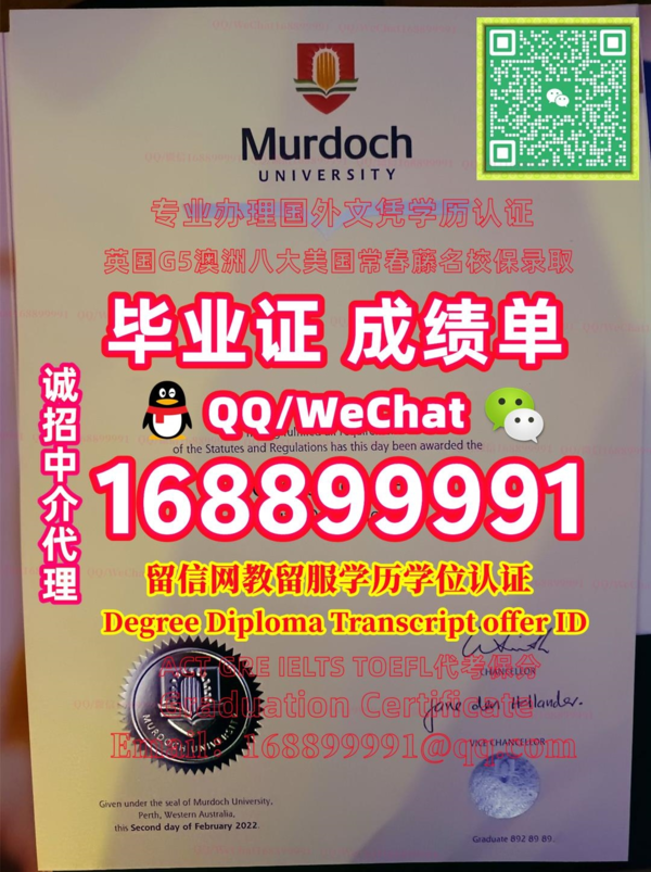 澳洲Murdoch毕业证书莫道克大学毕业证成绩单QQ微信168899991做Murdoch留信网教留服认证改MU成绩单GPA做MU假文凭假学位证如何申请默多克大学Murdoch University degree offer diploma Transcript
