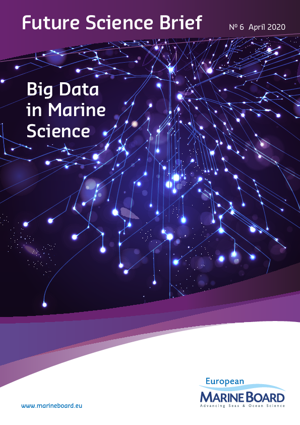 (PDF) Big data in marine science