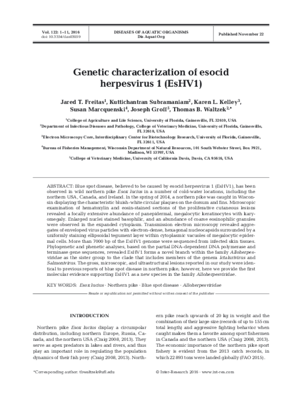 (PDF) Genetic characterization of esocid herpesvirus 1 (EsHV1)