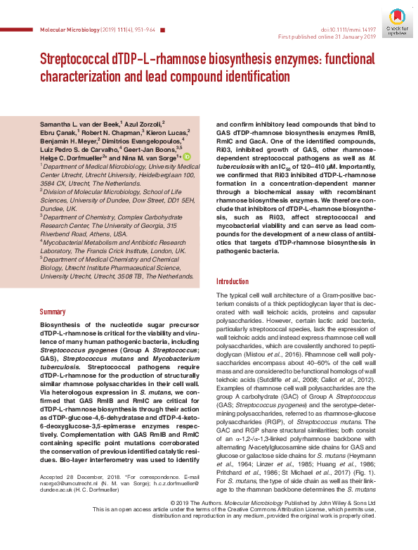 (PDF) Identification of lead compounds targeting the dTDP-L-rhamnose ...