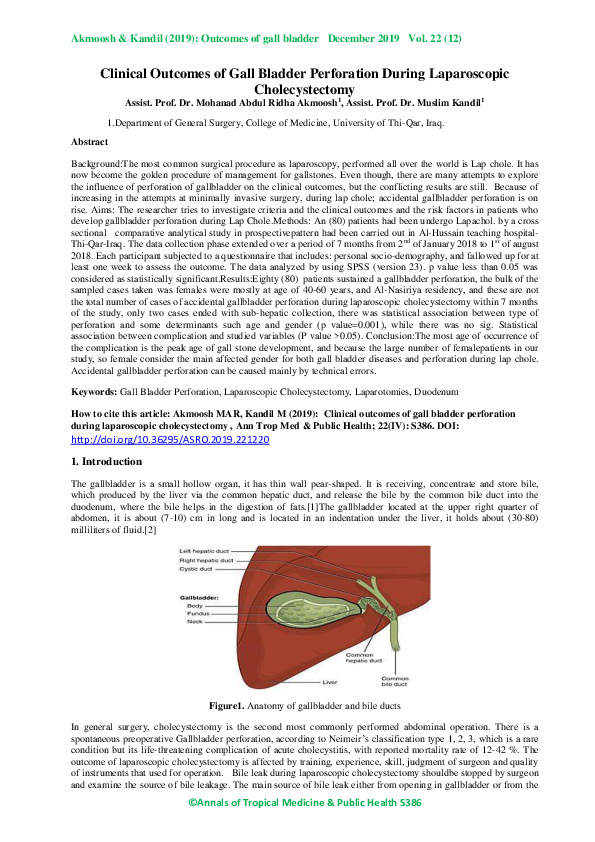 Clinical Outcomes of Gall Bladder Perforation During Laparoscopic Cholecystectomy