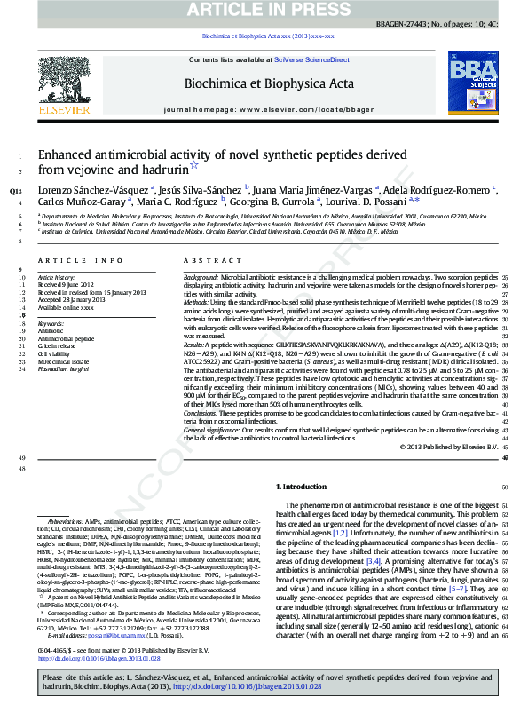 (PDF) Enhanced antimicrobial activity of novel synthetic peptides ...