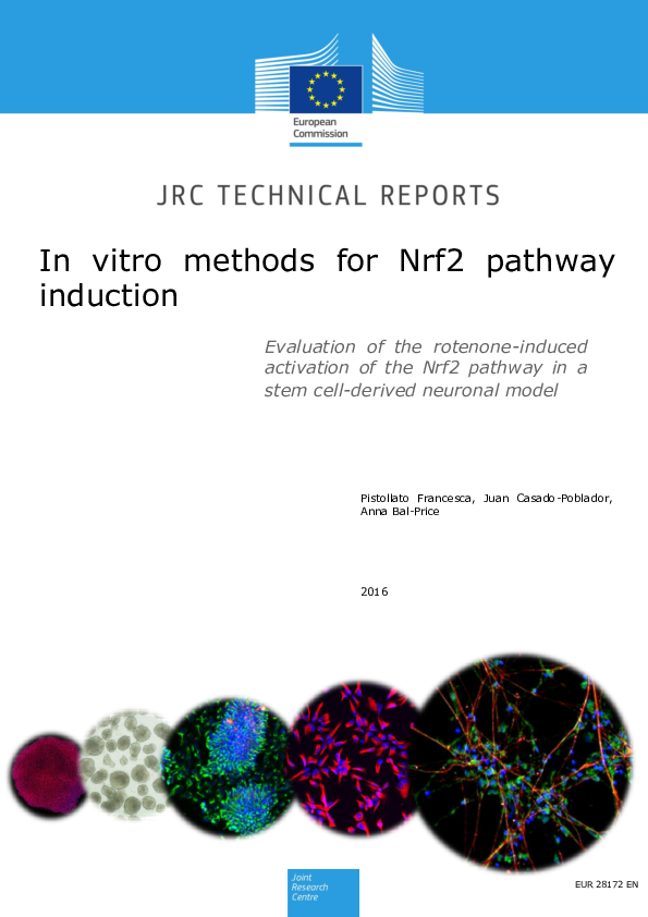 (PDF) In vitro methods for Nrf2 pathway induction | Anna Bal-Price ...