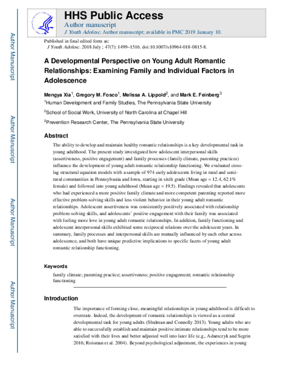 (PDF) A Developmental Perspective on Young Adult Romantic Relationships ...