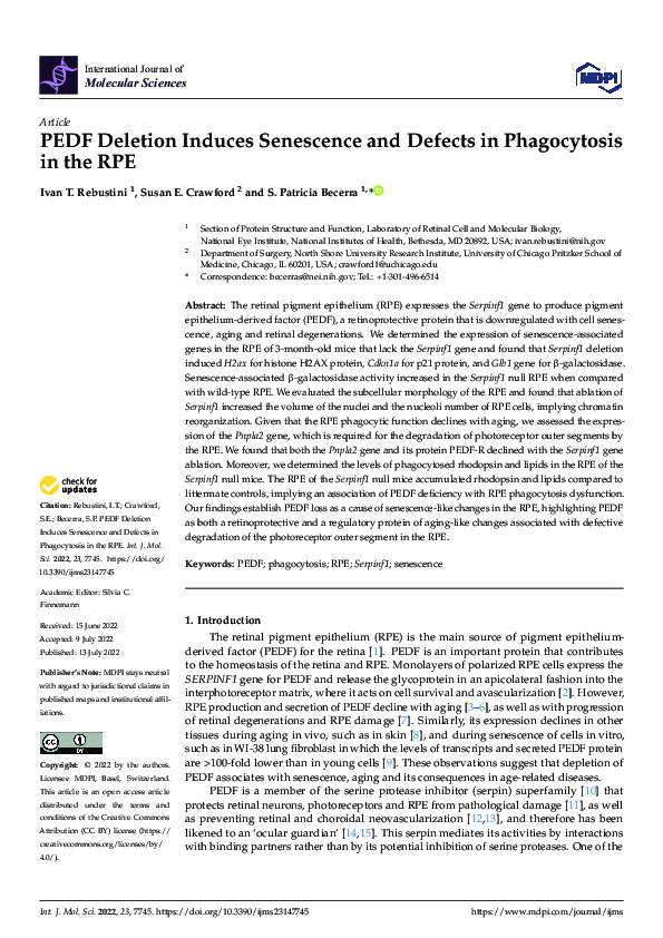 (PDF) PEDF Deletion Induces Senescence and Defects in Phagocytosis in ...