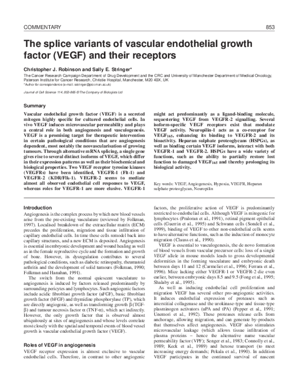 (PDF) The splice variants of vascular endothelial growth factor (VEGF ...