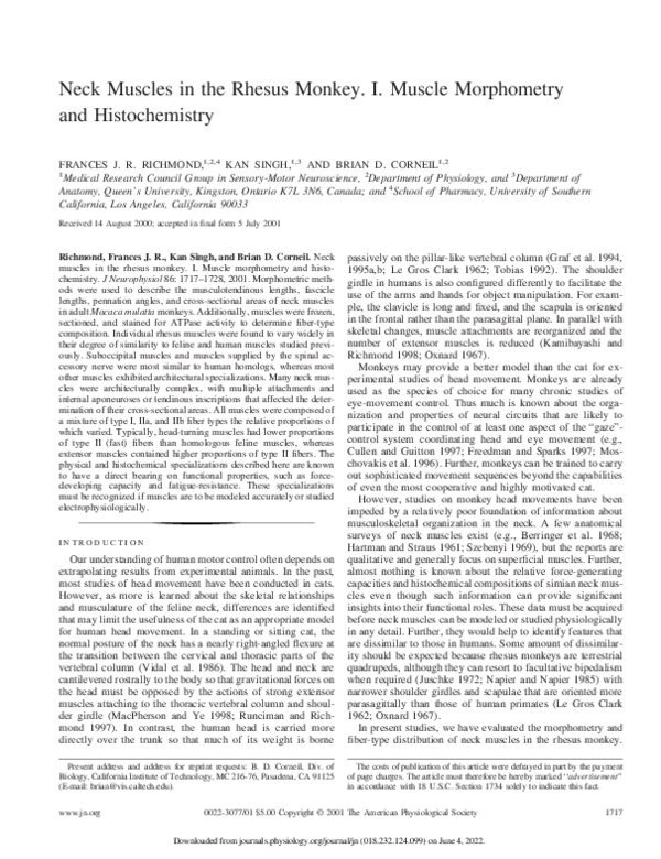 (PDF) Neck Muscles in the Rhesus Monkey. I. Muscle Morphometry and ...
