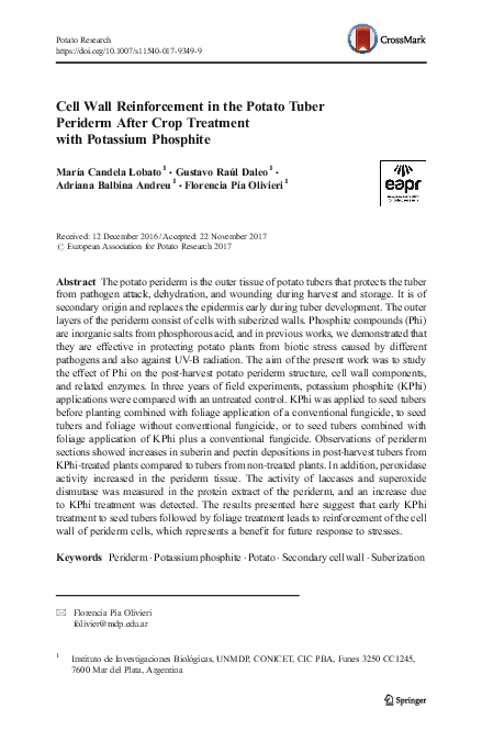 (PDF) Cell Wall Reinforcement in the Potato Tuber Periderm After Crop ...