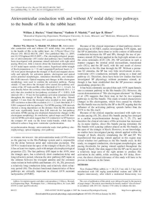 (PDF) Atrioventricular conduction with and without AV nodal delay: two ...