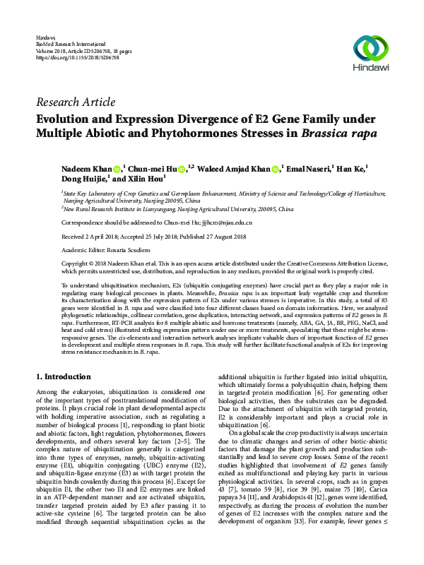 (PDF) Evolution and Expression Divergence of E2 Gene Family under ...