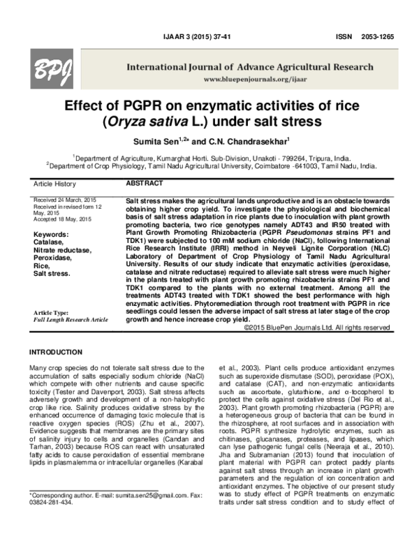 (PDF) Effect of PGPR on enzymatic activities of rice (Oryza sativa L ...