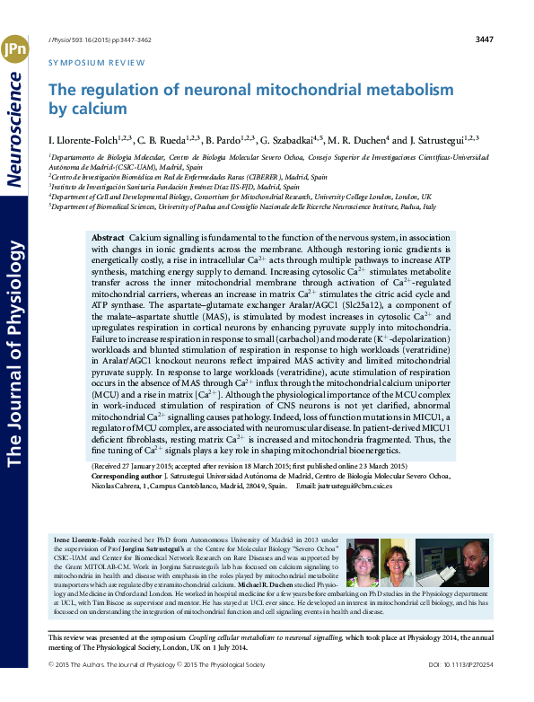 (PDF) The regulation of neuronal mitochondrial metabolism by calcium