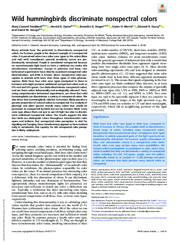 (PDF) Wild hummingbirds discriminate nonspectral colors