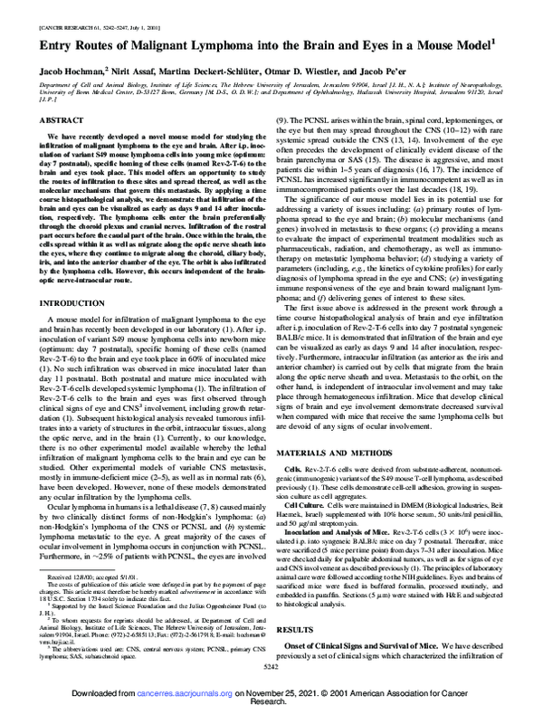 (PDF) Entry routes of malignant lymphoma into the brain and eyes in a ...