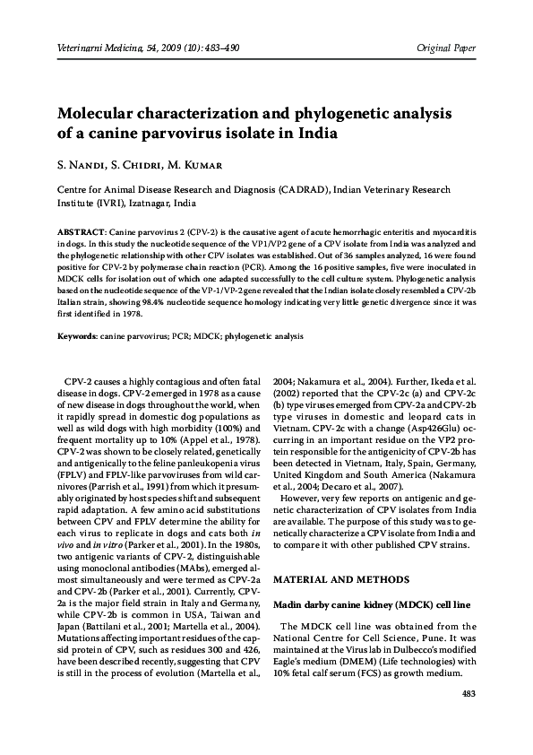 (PDF) Molecular characterization and phylogenetic analysis of a canine ...