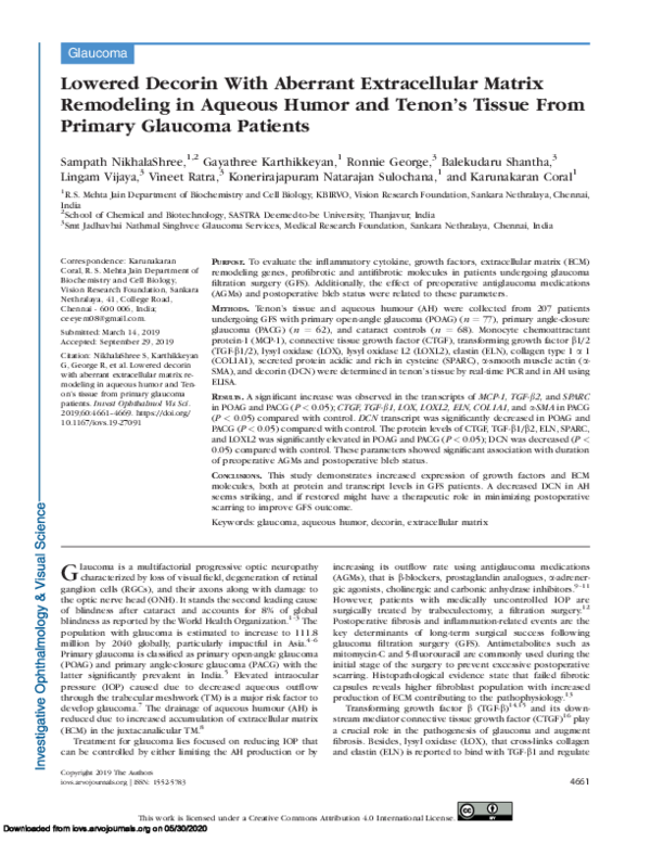 (PDF) Lowered Decorin With Aberrant Extracellular Matrix Remodeling in ...