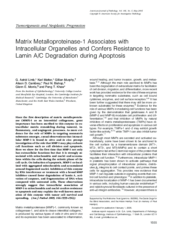 Matrix Metalloproteinase-1 Associates with Intracellular Organelles and Confers Resistance to Lamin A/C Degradation during Apoptosis