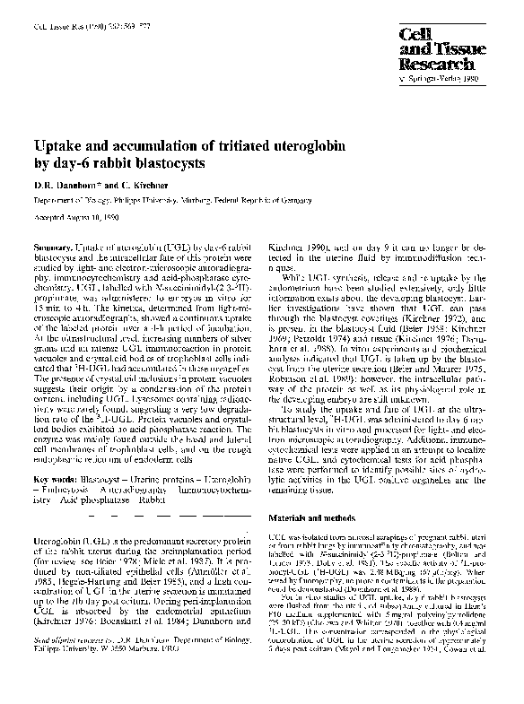 (PDF) Uptake and accumulation of tritiated uteroglobin by day-6 rabbit ...