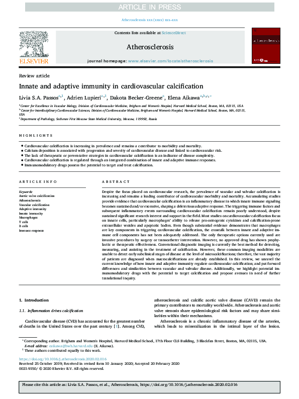 (PDF) Innate and adaptive immunity in cardiovascular calcification