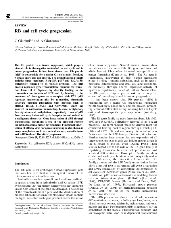 (PDF) RB and cell cycle progression