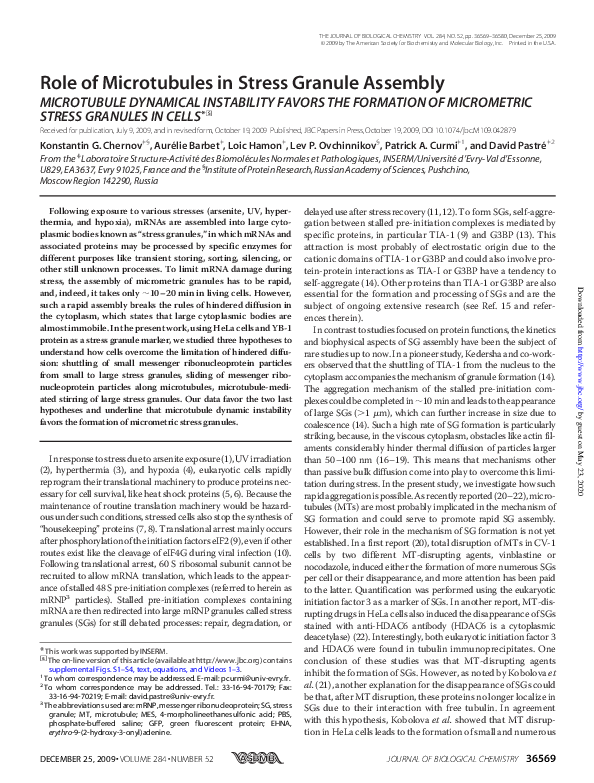 (PDF) Role of Microtubules in Stress Granule Assembly