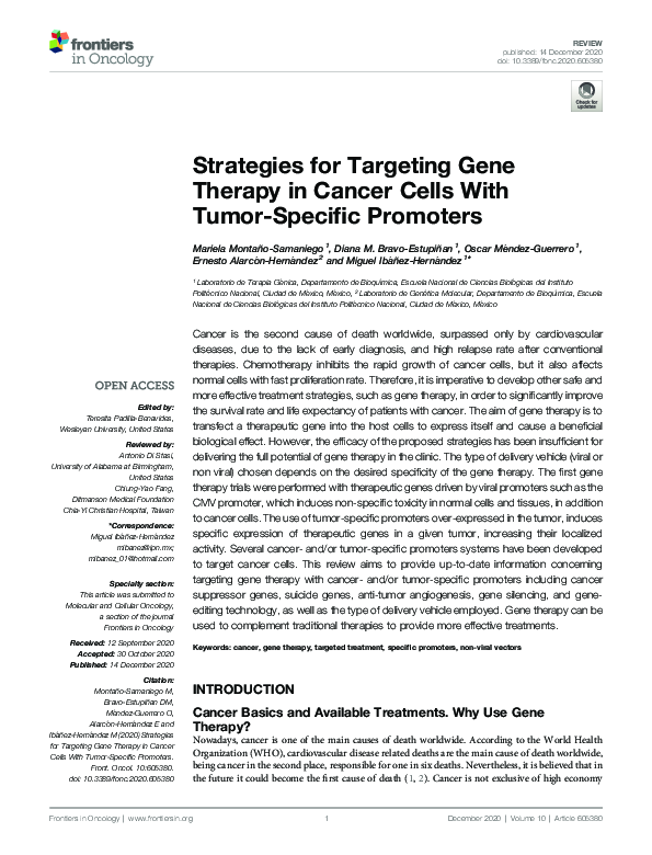 (PDF) Strategies for Targeting Gene Therapy in Cancer Cells With Tumor ...