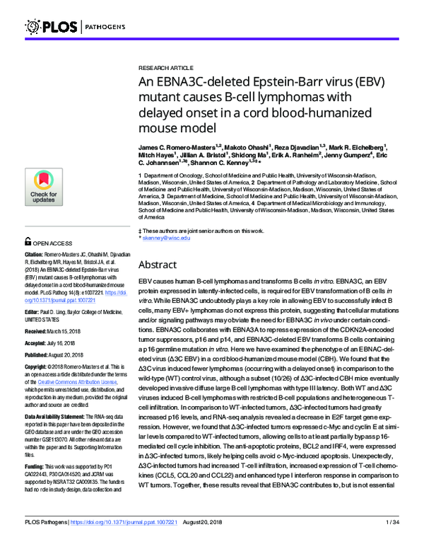 (PDF) An EBNA3C-deleted Epstein-Barr virus (EBV) mutant causes B-cell ...