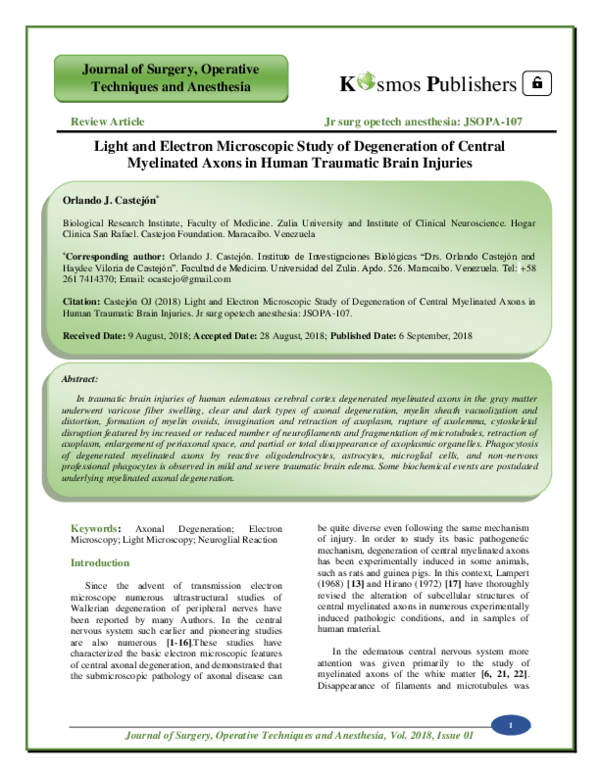 (PDF) Light and Electron Microscopic Study of Degeneration of Central ...