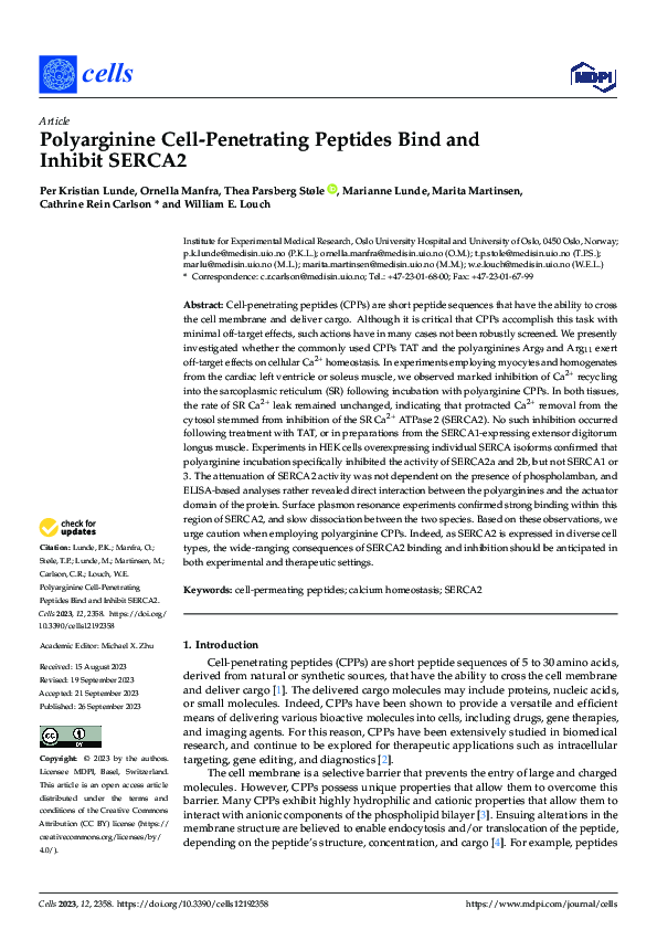 (PDF) Polyarginine Cell-Penetrating Peptides Bind and Inhibit SERCA2