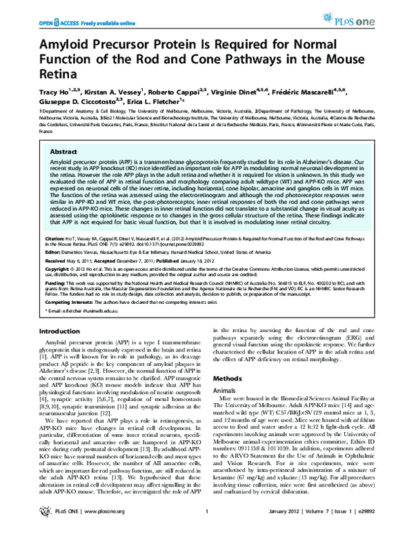 (PDF) Amyloid Precursor Protein Is Required for Normal Function of the ...