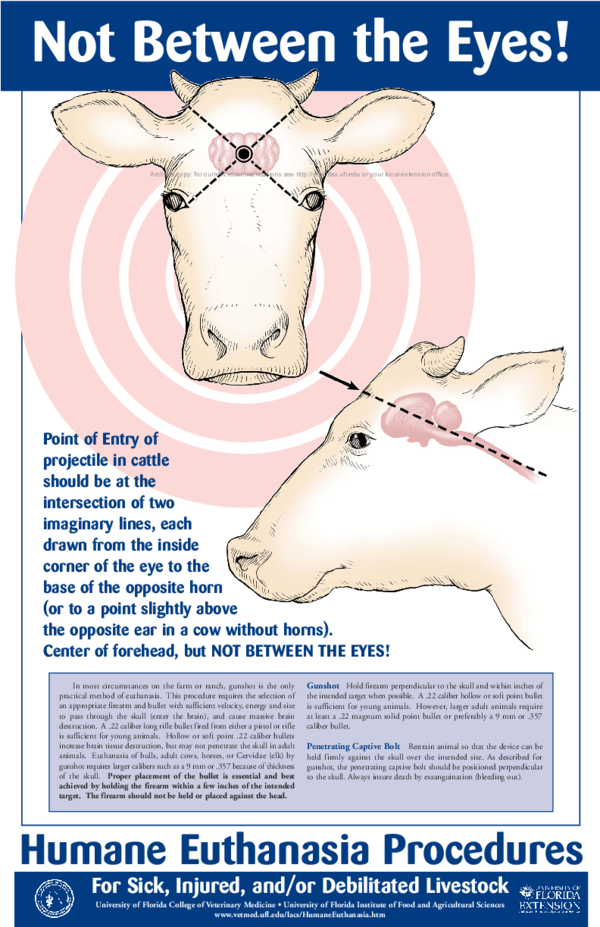 (PDF) Humane Euthanasia Procedures for Sick, Injured, and/or ...