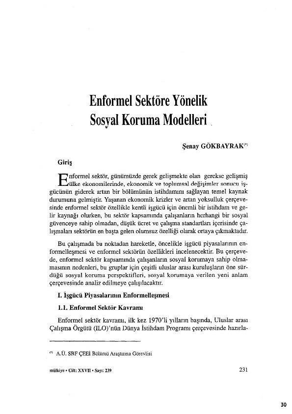 (PDF) Enformel Sektöre Yönelik Sosyal Koruma Modelleri