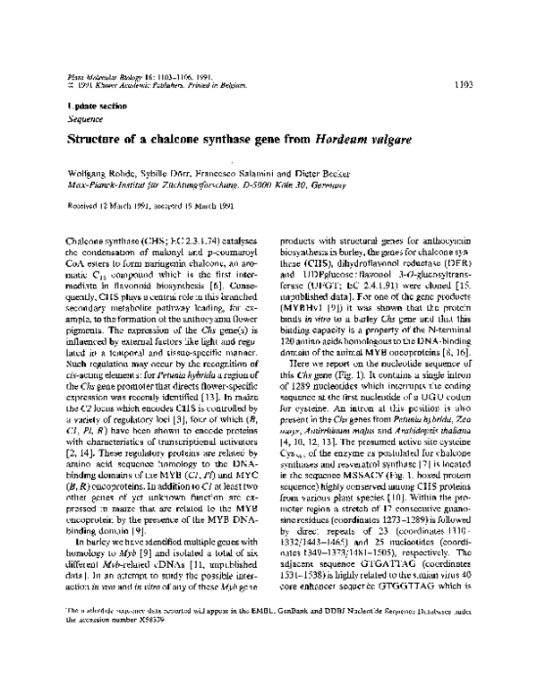 (PDF) Structure of a chalcone synthase gene from Hordeum vulgare